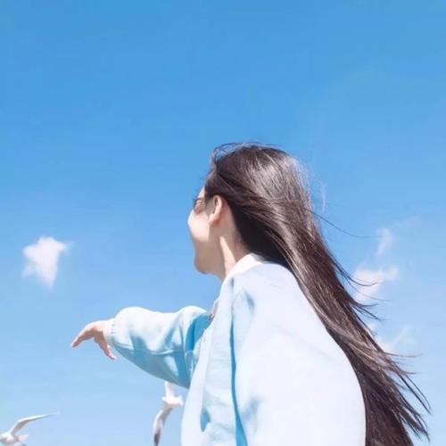 测试内容2